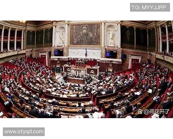 赖斯在国际舞台上的崛起与影响力分析及其对未来局势的启示